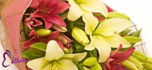 İzmir Çeşme İlhan Çiçek Davet ve Organizasyon - Buket Çiçek Çeşitleri Kod B26